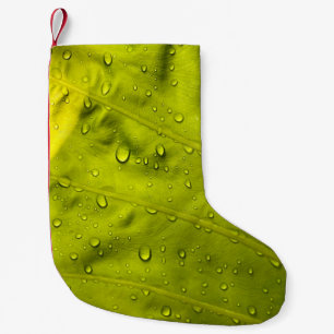 Petite Chaussette De Noël L'eau chute sur la feuille verte