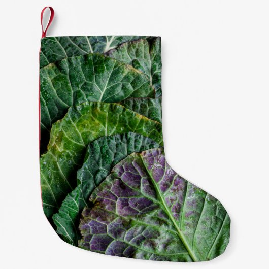 Petite Chaussette De Noël Légume vert (Devant)