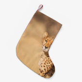 PETITE CHAUSSETTE DE NOËL LEOPARD PORTRAIT (Devant (Accrochage))