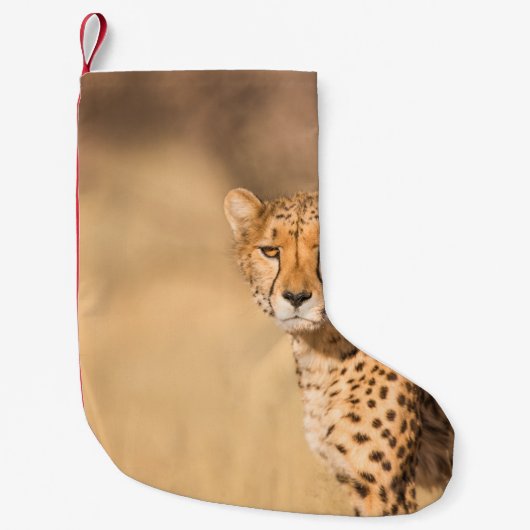 PETITE CHAUSSETTE DE NOËL LEOPARD PORTRAIT (Devant)
