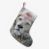 Petite Chaussette De Noël Lion blanc d'Afrique du Sud reposant (Devant (Accrochage))
