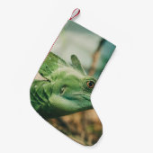 Petite Chaussette De Noël Lizard regarder de près vue (Devant (Accrochage))
