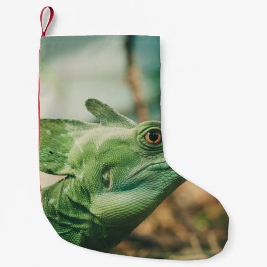 Petite Chaussette De Noël Lizard regarder de près vue (Devant)