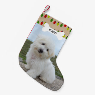 Petite Chaussette De Noël Lumières Vertes Rouges Os de Chien Photo d'Animal