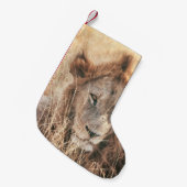 PETITE CHAUSSETTE DE NOËL M. LION KING (Devant (Accrochage))