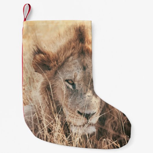 PETITE CHAUSSETTE DE NOËL M. LION KING (Devant)