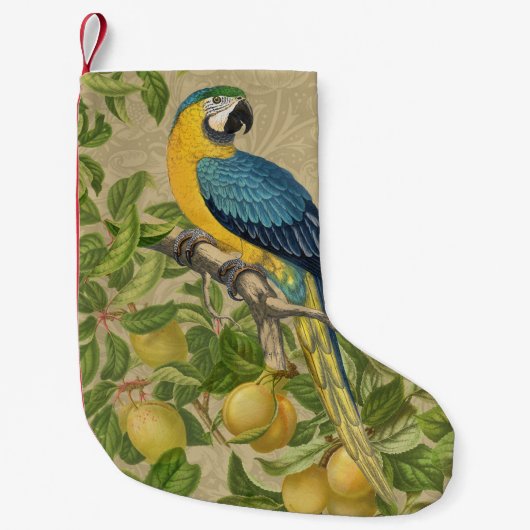Petite Chaussette De Noël Macaw Blue Jaune Tropical Jungle Antique (Devant)