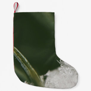 Petite Chaussette De Noël Macro-photographie des cristaux d'aujourd'hui