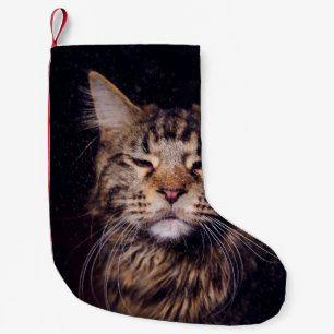 Petite Chaussette De Noël maine coon sur un arrière - plan noir