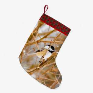 Petite Chaussette De Noël Mésange à tête noire - Photographie originale