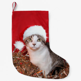 Petite Chaussette De Noël Minou tigré dans le casquette de Père Noël