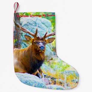 Petite Chaussette De Noël Noël Attrape Mon Vieux Désert