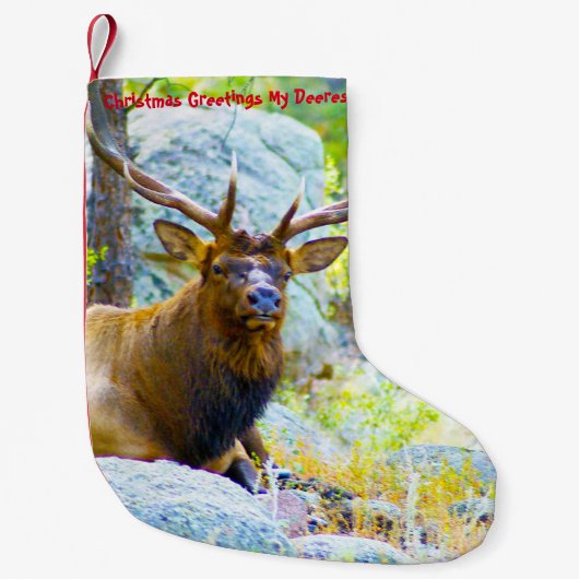 Petite Chaussette De Noël Noël Attrape Mon Vieux Désert (Devant)