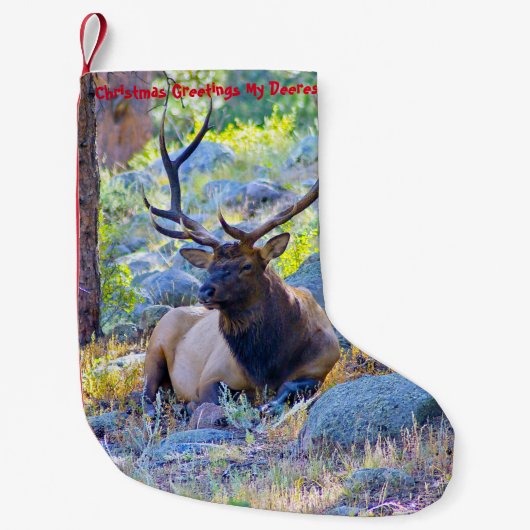 Petite Chaussette De Noël Noël Attrape Mon Vieux Désert (Devant)