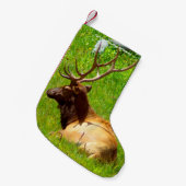 Petite Chaussette De Noël Noël Attrape Mon Vieux Désert (Devant (Accrochage))