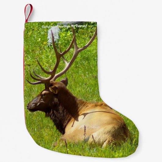 Petite Chaussette De Noël Noël Attrape Mon Vieux Désert (Devant)