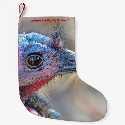 Petite Chaussette De Noël Noël Attrayant Mon Vieux Parleur (Devant)