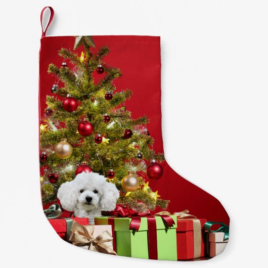 Petite Chaussette De Noël Noël de caniche blanc (Devant)