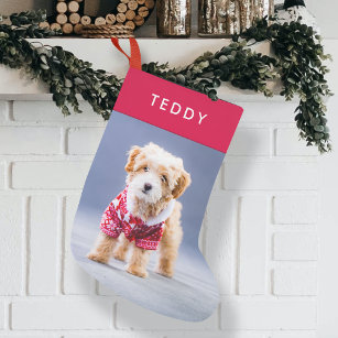 Petite Chaussette De Noël Noël de chien   Photo moderne de animal rouge mou