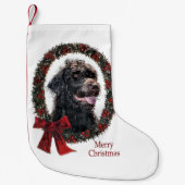 Petite Chaussette De Noël Noël de Labradoodle (Devant)