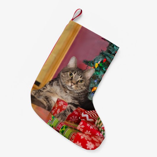 Petite Chaussette De Noël Noël de Tabby Kitty (Devant (Accrochage))