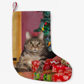 Petite Chaussette De Noël Noël de Tabby Kitty (Devant)