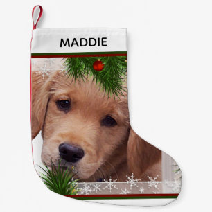 Petite Chaussette De Noël Noël des Golden Retriever - Chien adorable