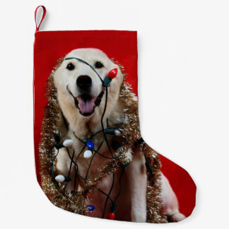 Petite Chaussette De Noël Noël jaune de laboratoire