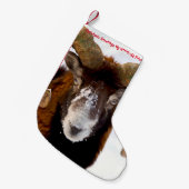 Petite Chaussette De Noël Noël Stocker Mon Miel Vieux Ami (Devant (Accrochage))