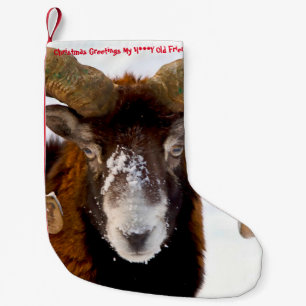 Petite Chaussette De Noël Noël Stocker Mon Miel Vieux Ami