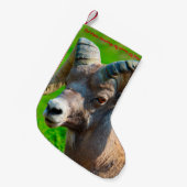 Petite Chaussette De Noël Noël Stocker Mon Miel Vieux Ami (Devant (Accrochage))