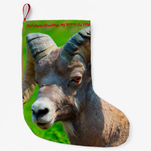 Petite Chaussette De Noël Noël Stocker Mon Miel Vieux Ami