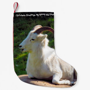 Petite Chaussette De Noël Noël Stocker Mon Miel Vieux Ami