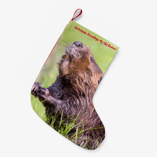 Petite Chaussette De Noël Noël Stocker Mon Vieux Castor (Devant (Accrochage))