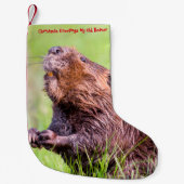 Petite Chaussette De Noël Noël Stocker Mon Vieux Castor (Devant)