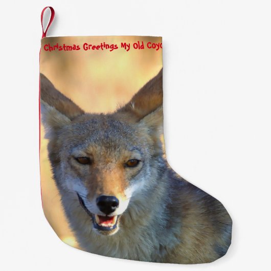 Petite Chaussette De Noël Noël Stocker Mon vieux Coyote (Devant)