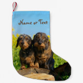 Petite Chaussette De Noël Nom d'animal domestique mignon de deux de teckels (Devant)