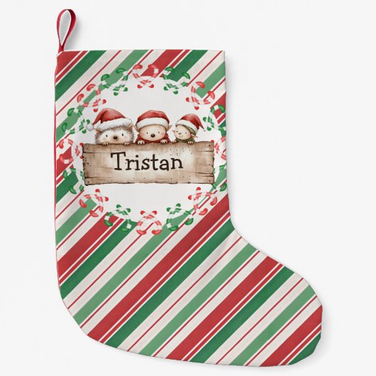 Petite Chaussette De Noël Nom de l'enfant de Hérisson mignon (Devant)