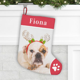 Petite Chaussette De Noël Nom de photo de chien rouge et blanc gras