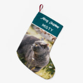 Petite Chaussette De Noël Nom du monogramme photo de l'animal de compagnie p (Devant (Accrochage))