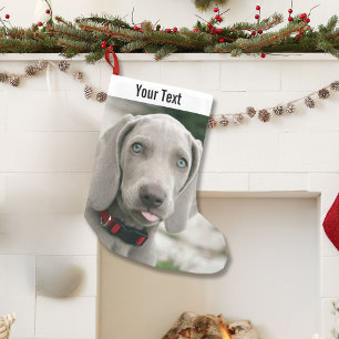 Petite Chaussette De Noël Nom personnalisé de photo de chien de Weimaraner