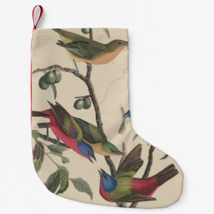 Petite Chaussette De Noël Oeuvre d'art vintage d'oiseau coloré de Audubon, B