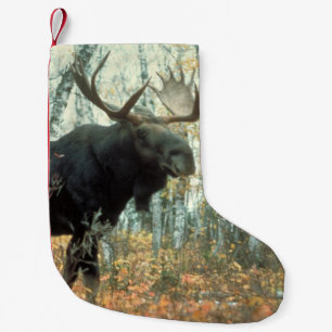 Petite Chaussette De Noël Orignaux énormes