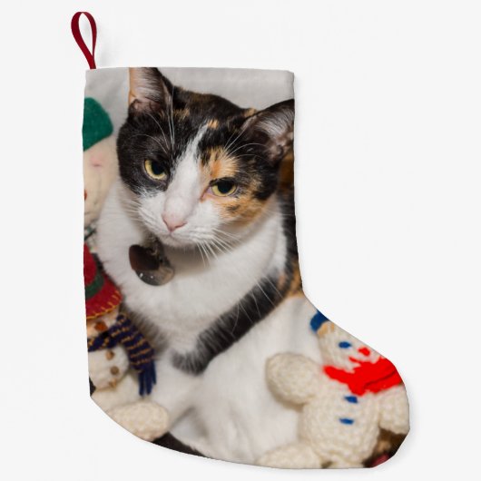 Petite Chaussette De Noël Où Est Le Cat Noël ? (Devant)
