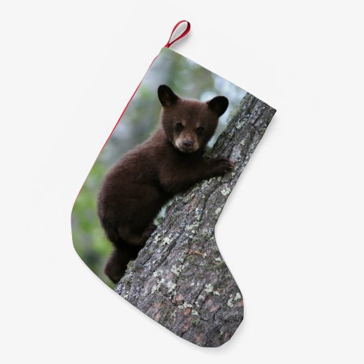 Petite Chaussette De Noël Ours CUB grimpant à un arbre (Devant (Accrochage))