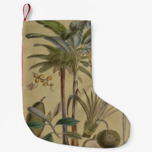 Petite Chaussette De Noël Palm Antique Fruit Tropical Art Botanique