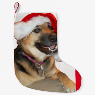 Petite Chaussette De Noël Pasteur allemand de Noël