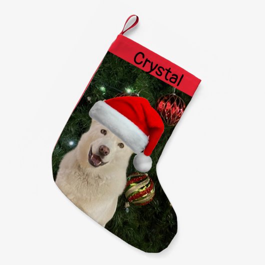 Petite Chaussette De Noël Père Noël Paws - Crystal the Husky Dog Personnalis (Devant (Accrochage))