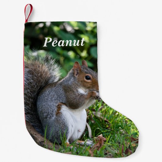 Petite Chaussette De Noël Personalized Grey Squirrel (Devant)