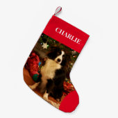 Petite Chaussette De Noël Pet Photo Holiday (Devant (Accrochage))